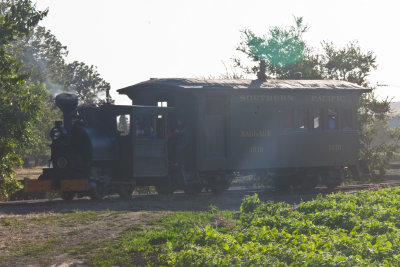 Ann-Marie and SP1010