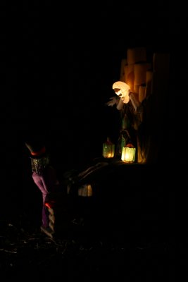 The organist