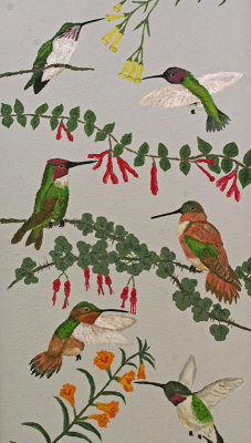 Sit quietly on the observation porch and identify the different species of hummingbirds