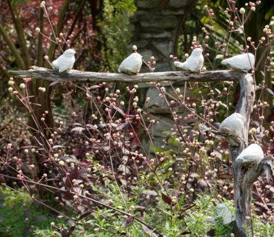 birds on a branch.jpg
