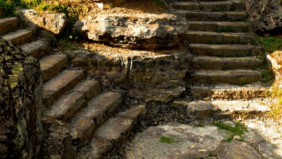 P1020129-1.jpg