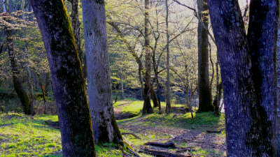 P1020137-1.jpg