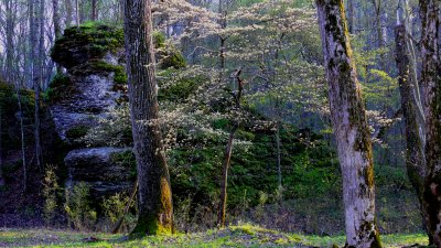 P1020139-1.jpg
