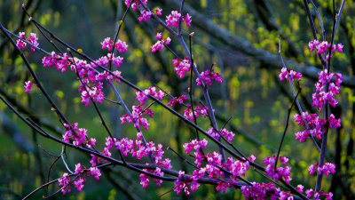 P1020142-1.jpg
