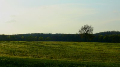 P1020150-1.jpg