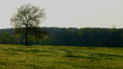 P1020153-1.jpg