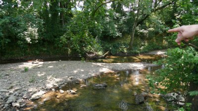 Edwin Warner and Percy Warner Parks in Nashville, Tennessee, USA