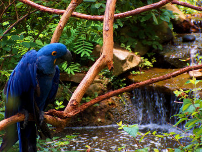 Nashville Zoo - July 13, 2007