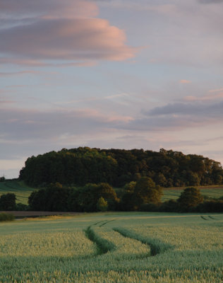 Near Alcester  DSC_9499