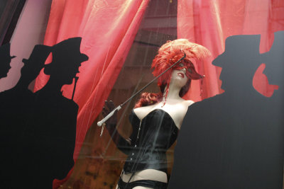 Model in Window