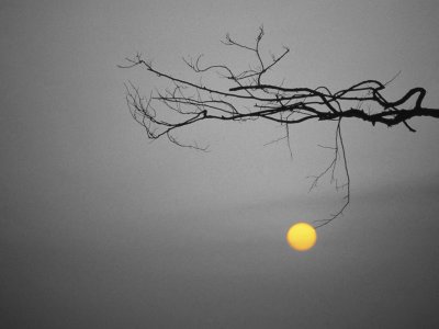 The Sun