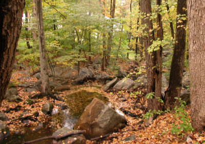 The boulder brook
