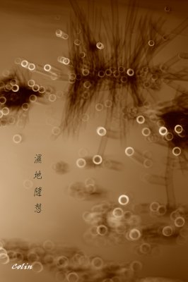 DSC05690word2.jpg