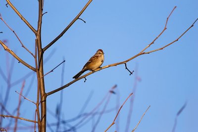 nov_2009