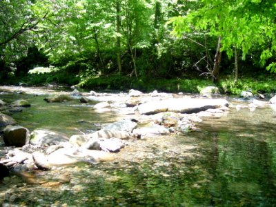 Stream at Smokemont, Smoky Mountains National Park