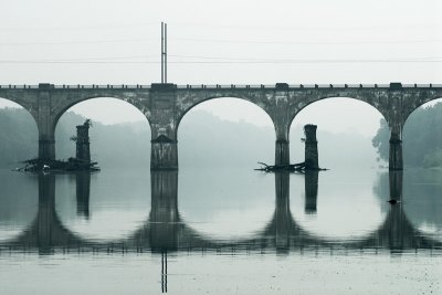 Foggy Morning - Updated