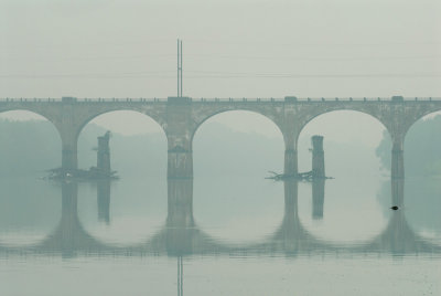 Foggy Morning