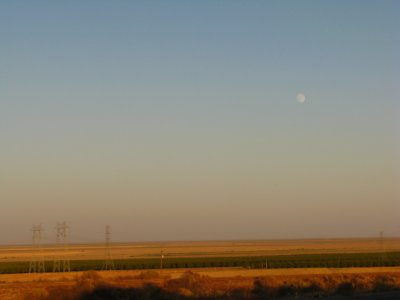 the moon on the way home, Kettleman