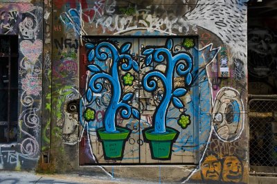DSC_7318.jpg