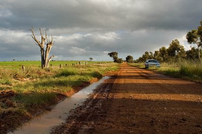 DSC_8421.jpg