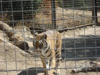 Kings Canyon 2008