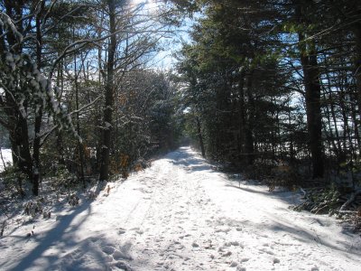 021207-100652.JPG