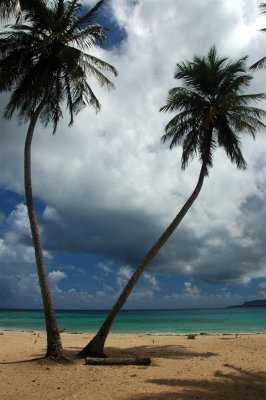 Playa Rincon