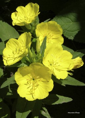 g5/92/664492/3/67875333.77oxUoxA.jpg