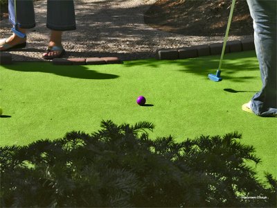 purple golf ball