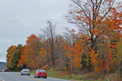 Fall Colors, Addison-10272005.jpg