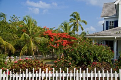 Eleuthera June 2008