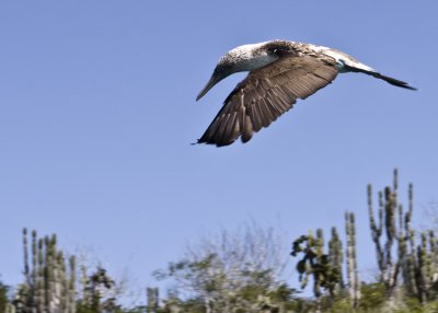 IMG_1486.jpg