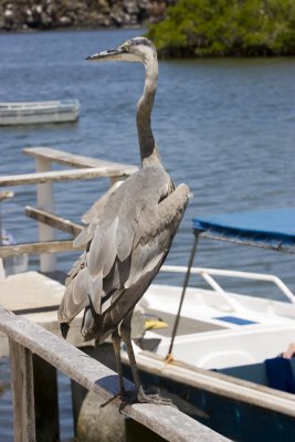 IMG_1646.jpg