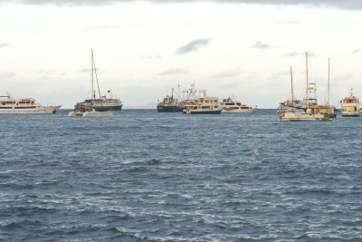 IMG_1796.jpg