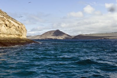 IMG_1989.jpg