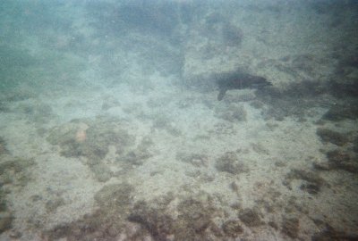 6887246-R1-034-15A.jpg