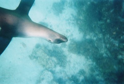 6887246-R1-048-22A.jpg