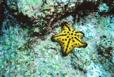 6887246-R2-014-5A.jpg