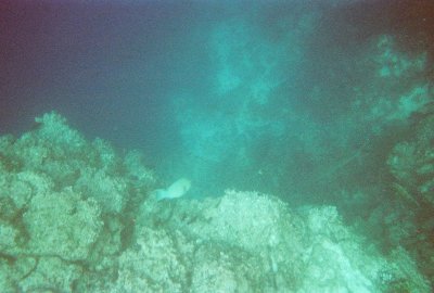 6887246-R2-034-15A.jpg