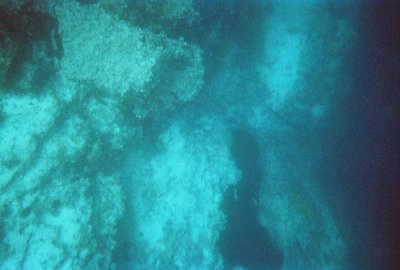 6887246-R2-040-18A.jpg