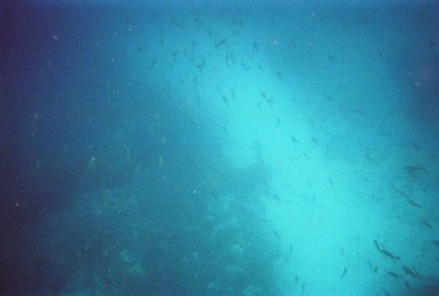 6887246-R2-052-24A.jpg