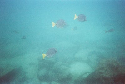 6887246-R5-042-19A.jpg
