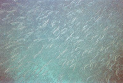6887246-R5-046-21A.jpg