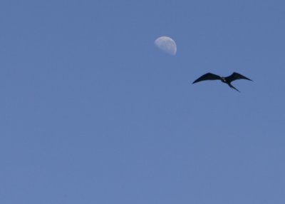 IMG_1815.jpg
