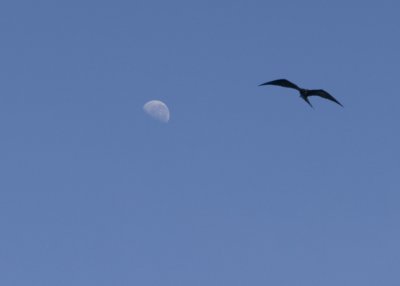 IMG_1816.jpg