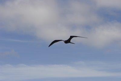IMG_1819.jpg