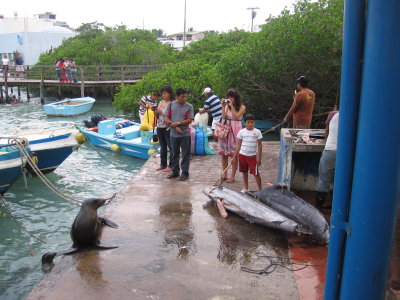 Galapagos Islands 2008