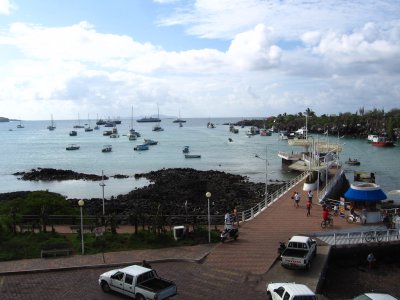 Puerto Ayora Port.jpg