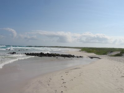 Tortuga Bay...the beach David Jr. ran to 3xs a week.jpg