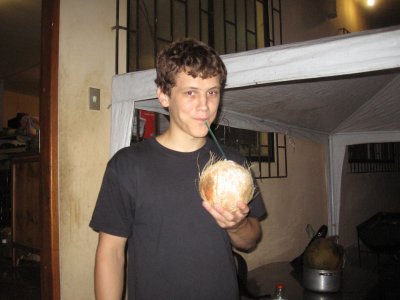 the coconut just gotten down from the tree.jpg